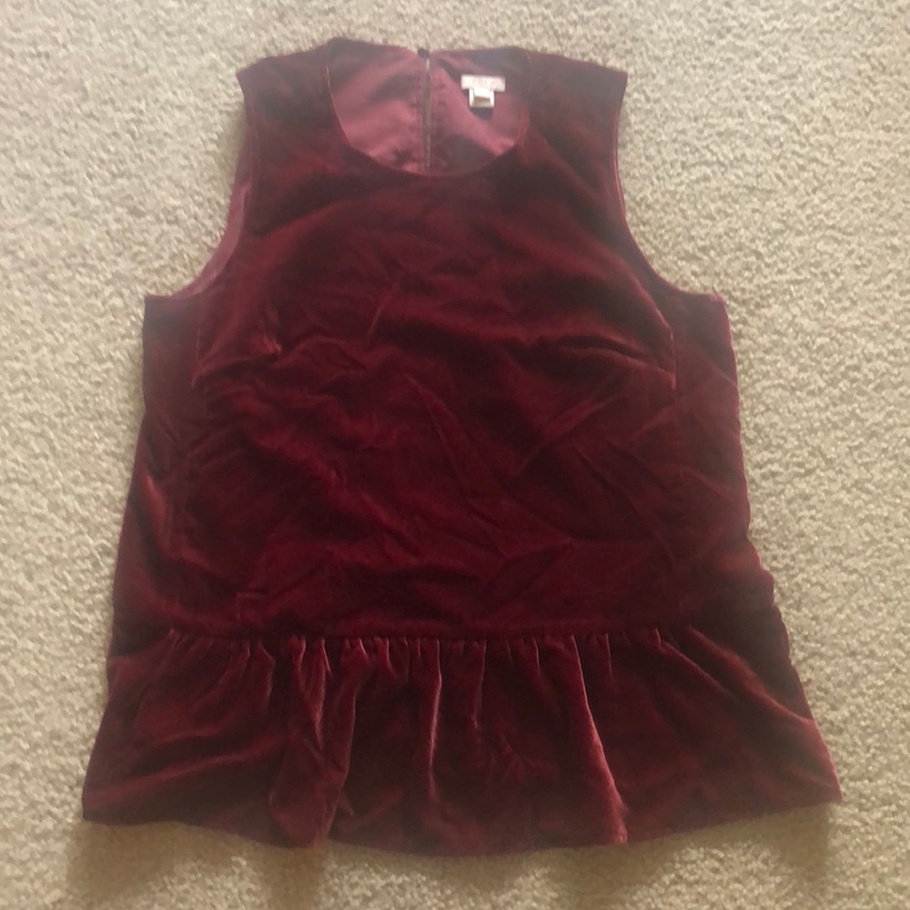 Velvet J Crew shirt!